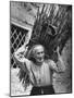 View of a Man Carrying a Big Bundle of Sticks from a Story Concerning Italy-Thomas D^ Mcavoy-Mounted Photographic Print