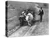 View of a Man Walking with a Cart Full of Wood-William Vandivert-Stretched Canvas