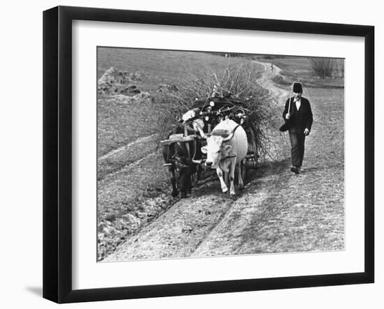 View of a Man Walking with a Cart Full of Wood-William Vandivert-Framed Photographic Print