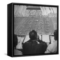 View of a Notre Dame Football Game-Mark Kauffman-Framed Stretched Canvas