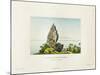 View of a Peak on the Island of Bora Bora-Ambroise Tardieu-Mounted Giclee Print