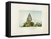 View of a Peak on the Island of Bora Bora-Ambroise Tardieu-Framed Stretched Canvas