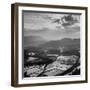 View of a Rice Plantation-John Dominis-Framed Photographic Print