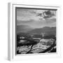 View of a Rice Plantation-John Dominis-Framed Photographic Print