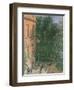 View of a Small Yard-Adolph Friedrich Erdmann von Menzel-Framed Giclee Print