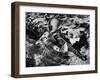 View of a Soldier Using a Garand Semi Automatic Rifle-William Vandivert-Framed Photographic Print