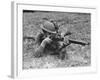 View of a Soldier Using a Springfield Rifle-William Vandivert-Framed Photographic Print