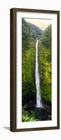 View of a Waterfall, Akaka Falls, Akaka Falls State Park, Hawaii County, Hawaii, USA-null-Framed Photographic Print