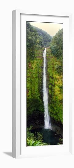 View of a Waterfall, Akaka Falls, Akaka Falls State Park, Hawaii County, Hawaii, USA-null-Framed Photographic Print
