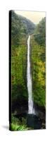 View of a Waterfall, Akaka Falls, Akaka Falls State Park, Hawaii County, Hawaii, USA-null-Stretched Canvas