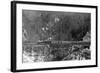 View of a Western Pacific Train on a Bridge - Plumas County, CA-Lantern Press-Framed Art Print