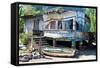 View of Abandoned House, Grenada, Caribbean-null-Framed Stretched Canvas