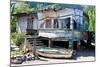 View of Abandoned House, Grenada, Caribbean-null-Mounted Photographic Print