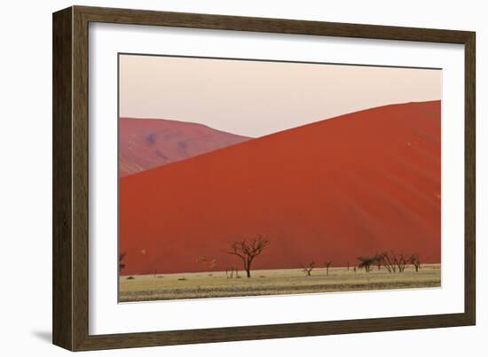 View of acacia trees and desert sand dunes, Sossusvlei, Namib Desert, Namib-Naukluft-Shem Compion-Framed Photographic Print