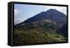 View of Acropolis and Cyclopean Walls of Mycenae-null-Framed Stretched Canvas