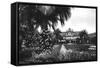 View of Albert I Gardens and the Casino, Nice, South of France, Early 20th Century-null-Framed Stretched Canvas
