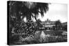View of Albert I Gardens and the Casino, Nice, South of France, Early 20th Century-null-Stretched Canvas