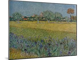 'View of Ales with Irises in Bloom', 1888-Vincent van Gogh-Mounted Giclee Print