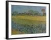 'View of Ales with Irises in Bloom', 1888-Vincent van Gogh-Framed Giclee Print