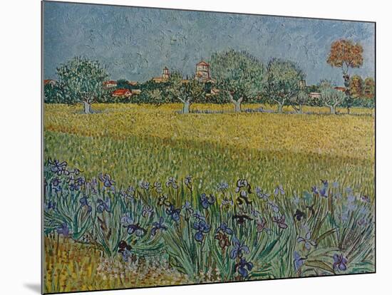 'View of Ales with Irises in Bloom', 1888-Vincent van Gogh-Mounted Giclee Print