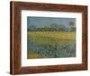 'View of Ales with Irises in Bloom', 1888-Vincent van Gogh-Framed Giclee Print