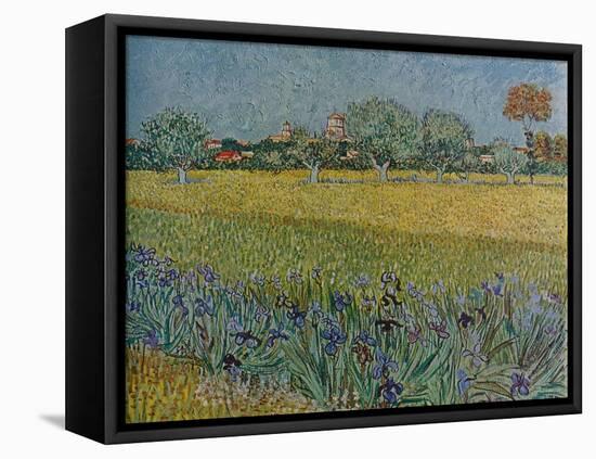 'View of Ales with Irises in Bloom', 1888-Vincent van Gogh-Framed Stretched Canvas