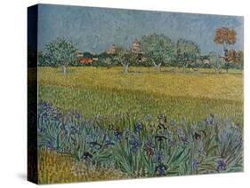 'View of Ales with Irises in Bloom', 1888-Vincent van Gogh-Stretched Canvas