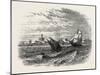 View of Alexandria (From the Sea). Egypt, on the Coast of the Southern Mediterranean-null-Mounted Giclee Print