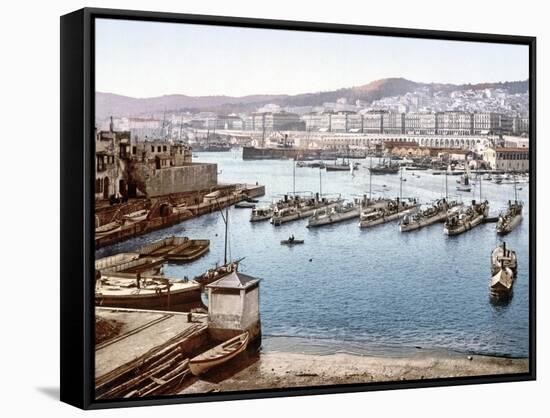 View of Algiers Harbour from the Admiralty, Pub. 1900-null-Framed Stretched Canvas