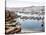 View of Algiers Harbour from the Admiralty, Pub. 1900-null-Stretched Canvas