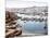 View of Algiers Harbour from the Admiralty, Pub. 1900-null-Mounted Giclee Print