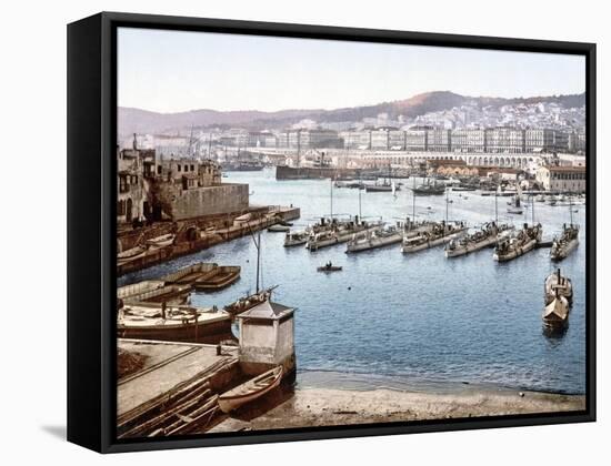 View of Algiers Harbour from the Admiralty, Pub. 1900-null-Framed Stretched Canvas