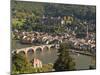 View of Alte Brucke or Old Bridge, Neckar River Heidelberg Castle and Old Town, Heidelberg, Germany-Michael DeFreitas-Mounted Premium Photographic Print