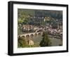 View of Alte Brucke or Old Bridge, Neckar River Heidelberg Castle and Old Town, Heidelberg, Germany-Michael DeFreitas-Framed Photographic Print