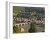 View of Alte Brucke or Old Bridge, Neckar River Heidelberg Castle and Old Town, Heidelberg, Germany-Michael DeFreitas-Framed Photographic Print