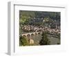 View of Alte Brucke or Old Bridge, Neckar River Heidelberg Castle and Old Town, Heidelberg, Germany-Michael DeFreitas-Framed Photographic Print