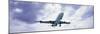 View of an Airplane in Flight, Maho Beach, Sint Maarten, Netherlands Antilles-null-Mounted Photographic Print