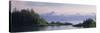 View of an Alaskan Ferry on a Lake, Lynn Canal, Juneau, Alaska, USA-null-Stretched Canvas