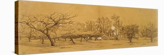View of an Orchard at Saint-Denis (Pen and Black Ink-Charles Francois Daubigny-Stretched Canvas