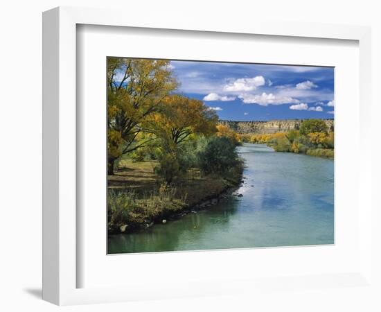 View of Animas River, New Mexico, USA-Massimo Borchi-Framed Photographic Print