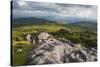 View of Appalachian Mountains from Grayson Highlands, Virginia, United States of America, North Ame-Jon Reaves-Stretched Canvas