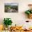 View of Appalachian Mountains from Grayson Highlands, Virginia, United States of America, North Ame-Jon Reaves-Photographic Print displayed on a wall