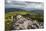 View of Appalachian Mountains from Grayson Highlands, Virginia, United States of America, North Ame-Jon Reaves-Mounted Photographic Print