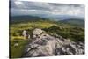 View of Appalachian Mountains from Grayson Highlands, Virginia, United States of America, North Ame-Jon Reaves-Stretched Canvas