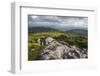 View of Appalachian Mountains from Grayson Highlands, Virginia, United States of America, North Ame-Jon Reaves-Framed Photographic Print