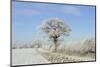 View of arable farmland with track, hedgerow and trees covered with rime frost, Norfolk, England-Gary Smith-Mounted Photographic Print