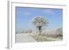 View of arable farmland with track, hedgerow and trees covered with rime frost, Norfolk, England-Gary Smith-Framed Photographic Print