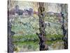 View of Arles, c.1889-Vincent van Gogh-Stretched Canvas