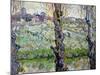 View of Arles, c.1889-Vincent van Gogh-Mounted Giclee Print