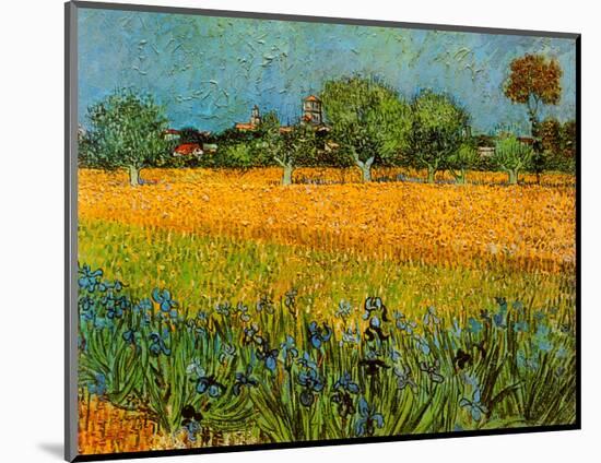 View of Arles with Irises-Vincent van Gogh-Mounted Art Print